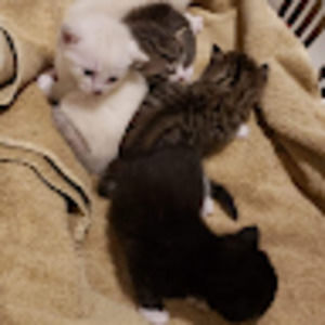 Meet your Posher, April